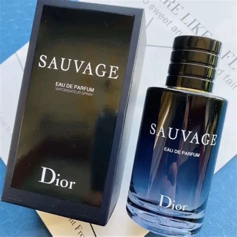 savash dior|what does dior sauvage smell like.